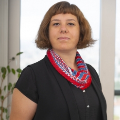 Adisa Pin | Research, Data Analysis, HR Analytics