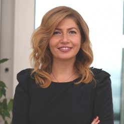 Adisa Pin | Research, Data Analysis, HR Analytics