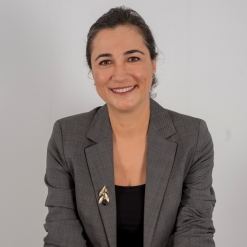 Adisa Pin | Research, Data Analysis, HR Analytics